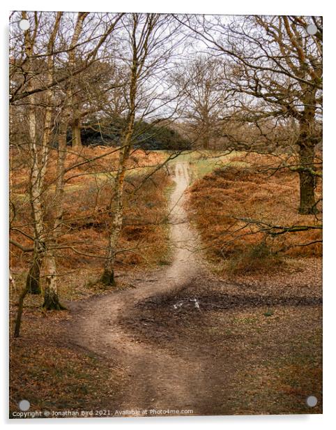 The Deviation, Weald Country Park Acrylic by Jonathan Bird