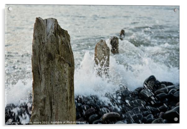 Groynes at Westward Ho! beach Acrylic by James Moore