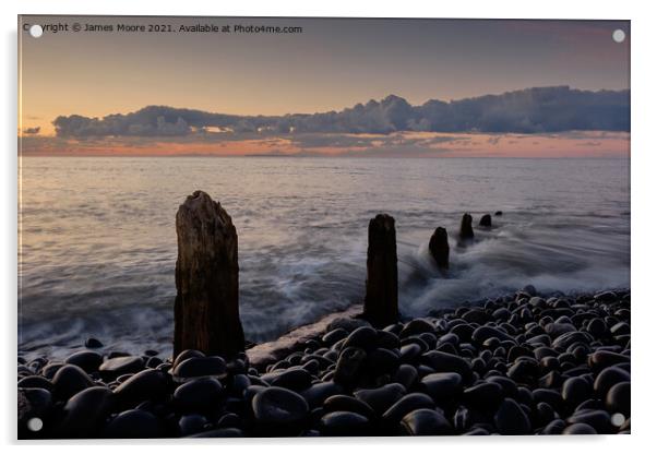 Groynes on Westward Ho! beach Acrylic by James Moore