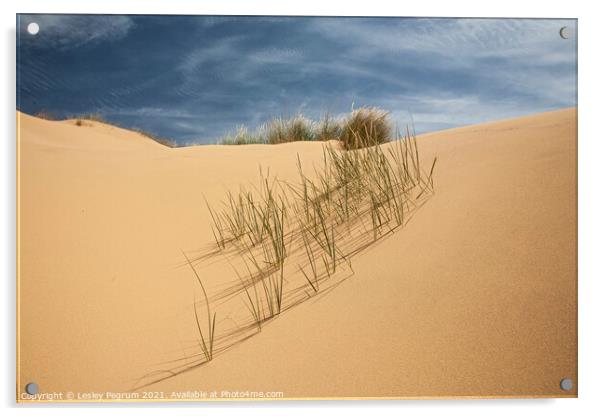 Sand Dune Grass Acrylic by Lesley Pegrum