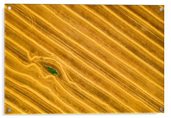 Beauty and patterns of a cultivated farmland from above. Acrylic by Andrea Obzerova