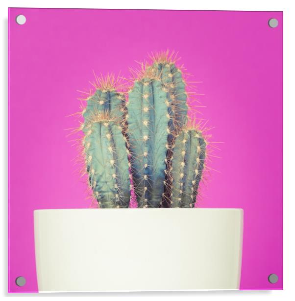 Neon art cactus image. Acrylic by Andrea Obzerova