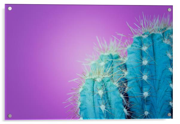 Trendy neon purple and blue coloured minimal cactus background. Acrylic by Andrea Obzerova