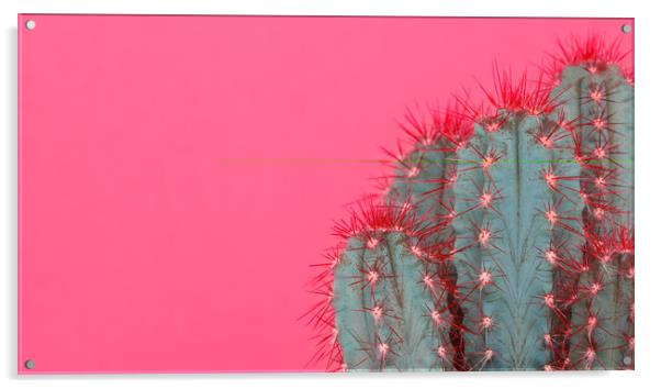 Fashion style cactus poster art. Acrylic by Andrea Obzerova