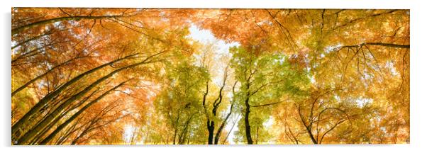 Autumn banner. Multicolored treetops. Acrylic by Andrea Obzerova