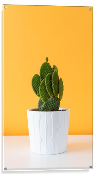 Cactus plant in white flowerpot against yellow col Acrylic by Andrea Obzerova