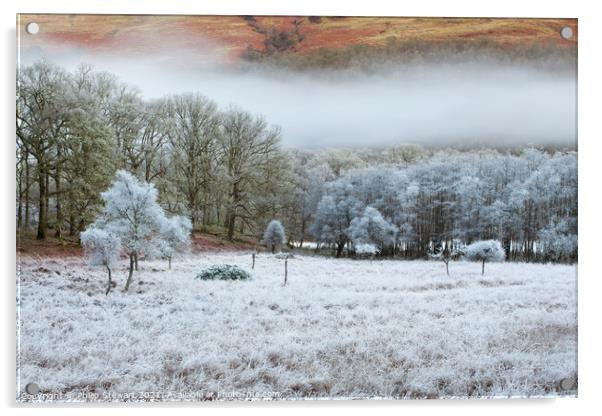 Frozen Trossachs, Scotland Acrylic by Philip Stewart