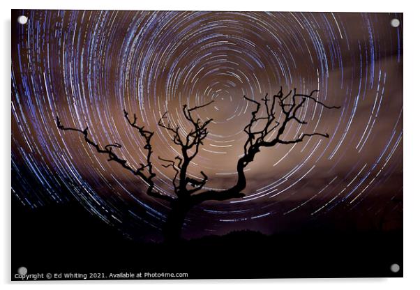 Star trail behind the old tree on a Cornish Moor Acrylic by Ed Whiting