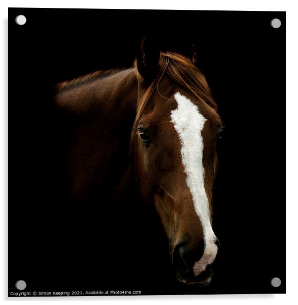 HORSE WITH BLAZE Acrylic by Simon Keeping