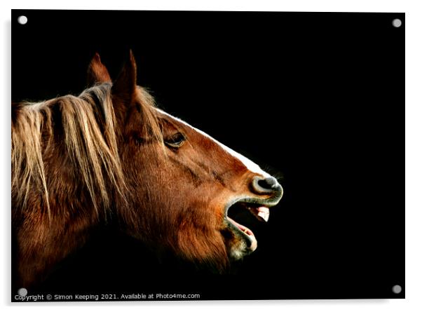 BRAYING HORSE Acrylic by Simon Keeping