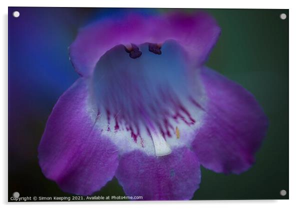 BEAUTIFUL PURPLE FLOWER Acrylic by Simon Keeping