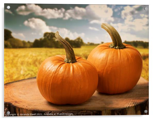 Pumpkins Acrylic by Amanda Elwell