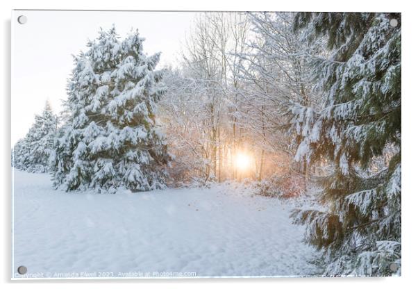 Winter Low Sun Acrylic by Amanda Elwell