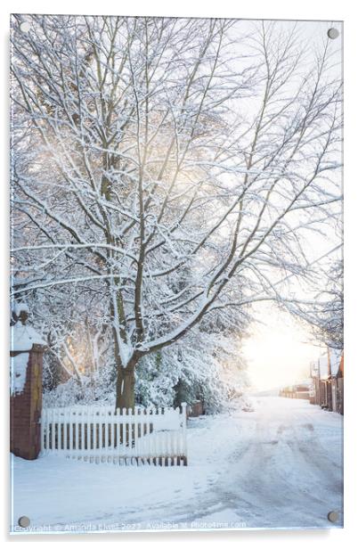 Country Lane In Winter Acrylic by Amanda Elwell