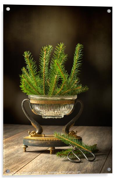 Sprigs Of Pine Tree Acrylic by Amanda Elwell