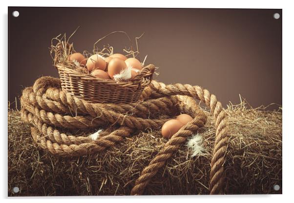 Hens Eggs Acrylic by Amanda Elwell