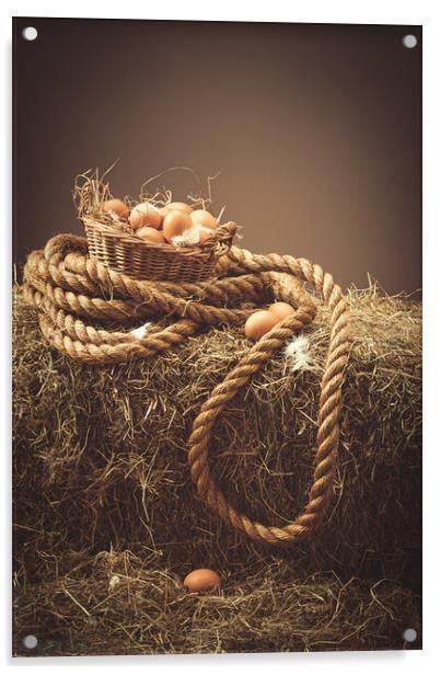 Fresh Hens Eggs Acrylic by Amanda Elwell