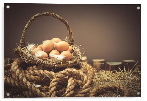 Fresh Eggs Acrylic by Amanda Elwell