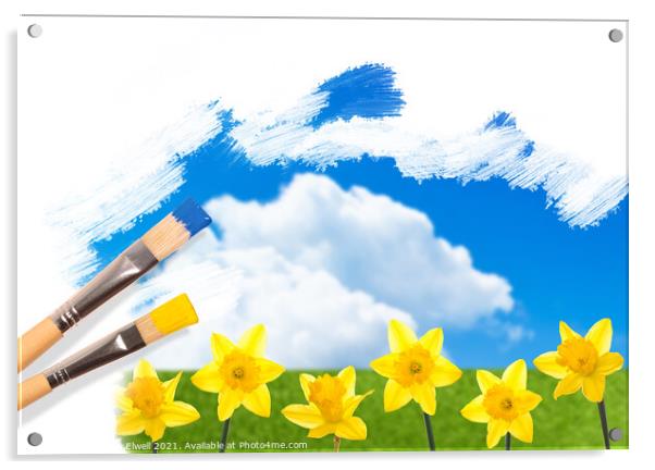 Painting Daffodils Acrylic by Amanda Elwell