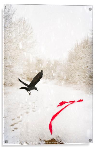 Jackdaw In Snow Acrylic by Amanda Elwell