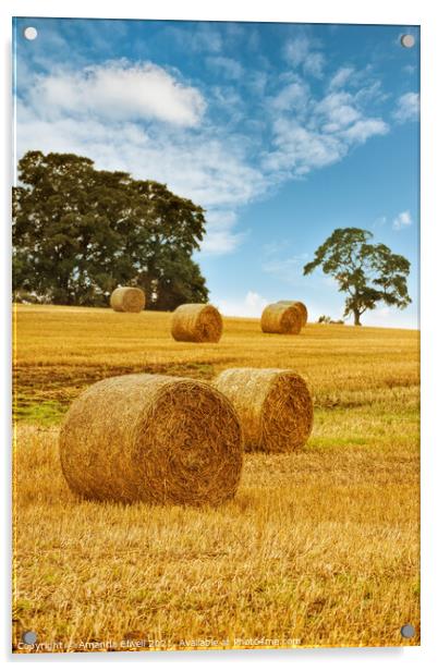 Hay Bales Acrylic by Amanda Elwell