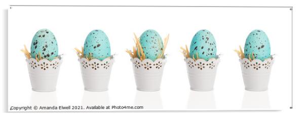 Blue Speckled Eggs Acrylic by Amanda Elwell