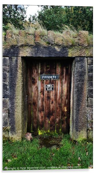 Private Door Acrylic by Peter Brownlow