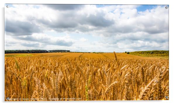 Cornfield Acrylic by Kevin Clayton