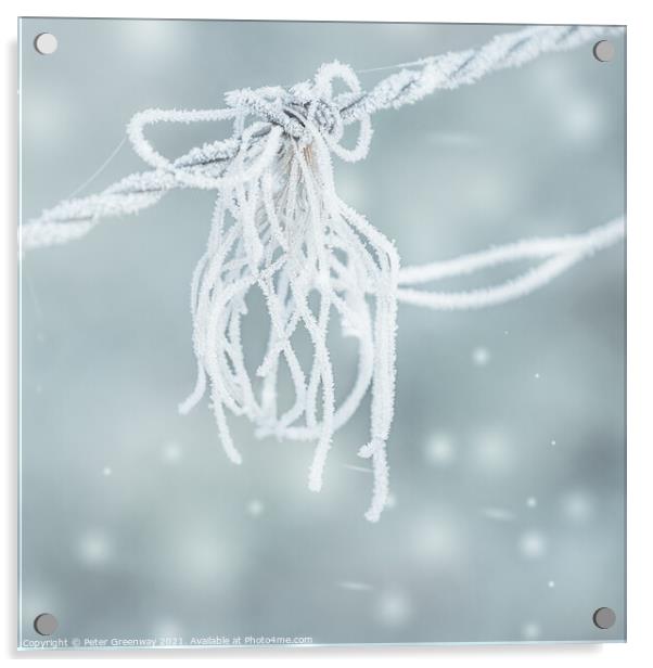 Frosted Strands On Barbed Wire Acrylic by Peter Greenway