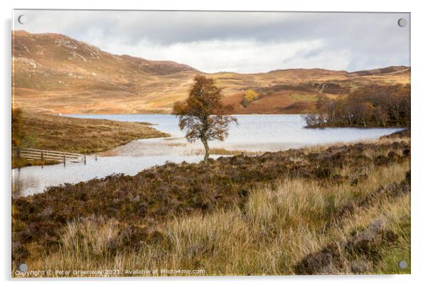 A Lone Tree At Loch Tarff, Scottish Highlands Acrylic by Peter Greenway