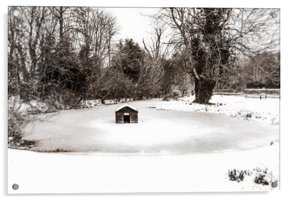 Frozen Village Duckpond & Duckhouse In Bucknell, O Acrylic by Peter Greenway