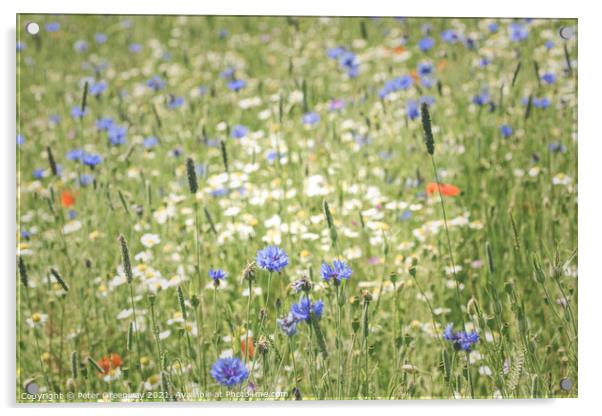 English Flower Meadow At Snowshill Acrylic by Peter Greenway