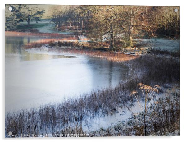 A Frosty Morning On The Blenheim Estate In Oxfordshire  Acrylic by Peter Greenway