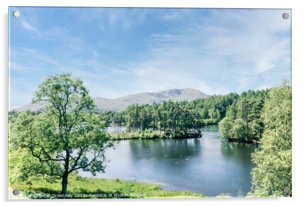 Tarn Hows In The Lake District - View Over The Lake Acrylic by Peter Greenway