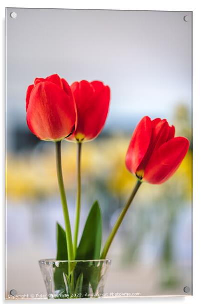 Red Tulips In A Vase At A Village Spring Fete In Oxfordshire Acrylic by Peter Greenway