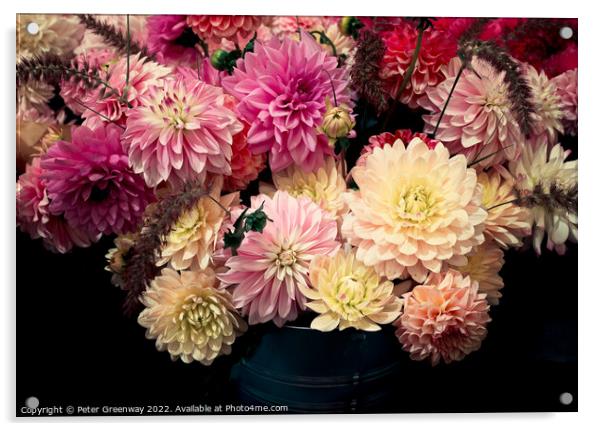 Dahlia Flowers At The RHS Wisley Flower Show Acrylic by Peter Greenway