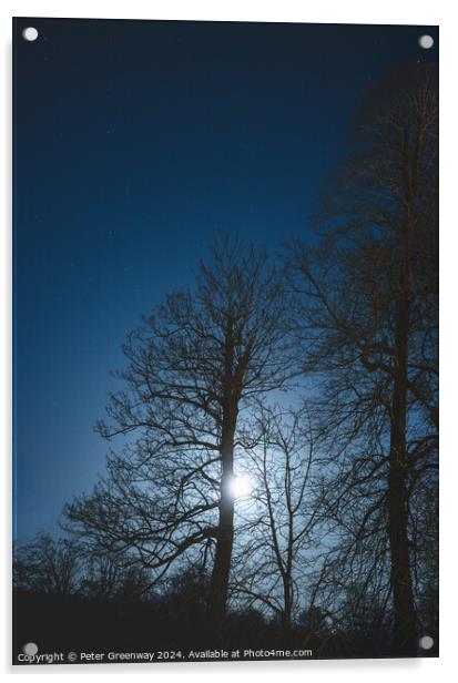 Bare Trees In Winter Illuminated By Moonlight Acrylic by Peter Greenway