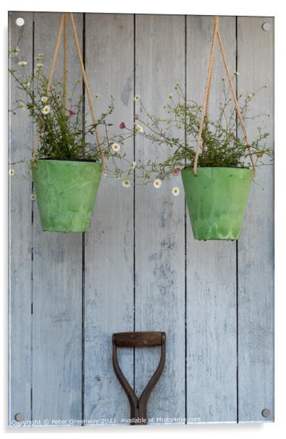 Two Hanging Green Pots Of Daisies & A Spade Handle  Acrylic by Peter Greenway