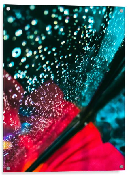 Vibrant background of water drops in a shower Acrylic by Sol Cantero