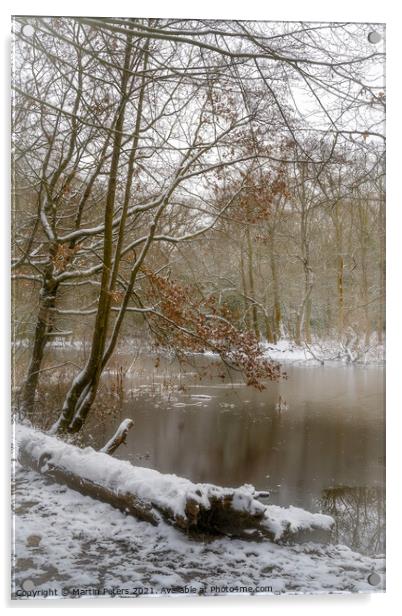 Winter Lake Acrylic by Martin Yiannoullou