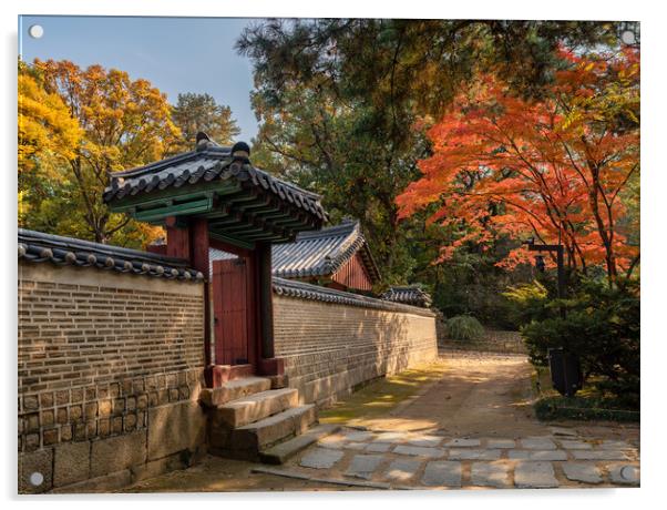 Jongmyo Confucian shrine of the Korean Joseon Dynasty in Seoul, South Korea tree Acrylic by Mirko Kuzmanovic