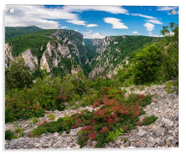 Lazar's Canyon / Lazarev kanjon the deepest and longest canyon in eastern Serbia Acrylic by Mirko Kuzmanovic