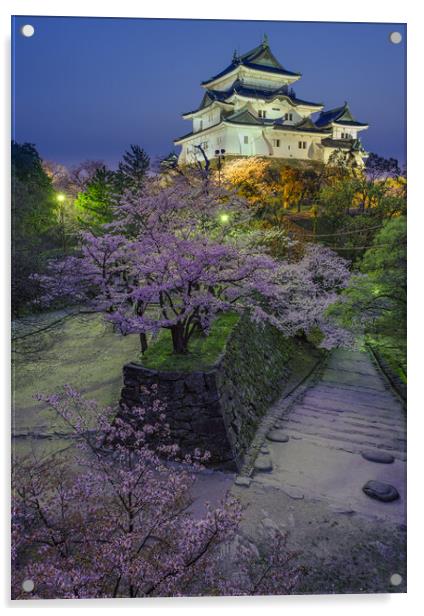 Evening view of Wakayama castle in cherry-blossom sakura season in Japan Acrylic by Mirko Kuzmanovic