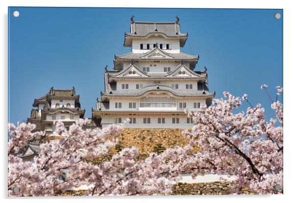 Himeji castle during the cherry blossom sakura season Acrylic by Mirko Kuzmanovic