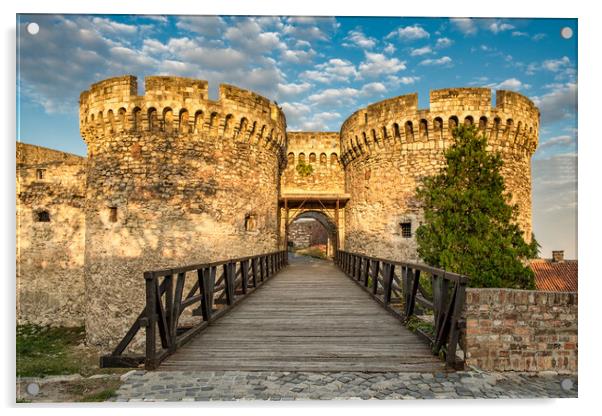 Historic Belgrade Fortress in Kalemegdan park in Belgrade, capital of Serbia Acrylic by Mirko Kuzmanovic