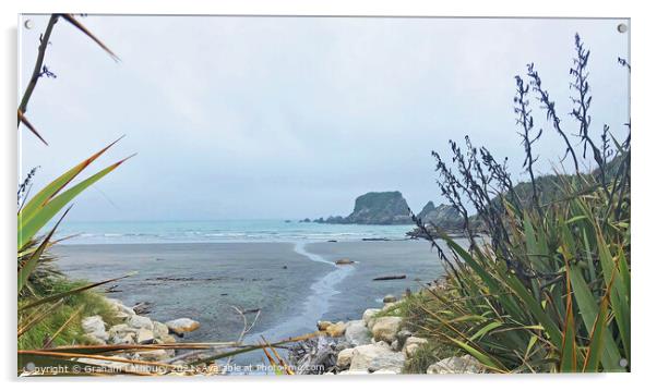 Rocky New Zealand outcrop Acrylic by Graham Lathbury
