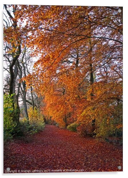 Autumnal Westridge Woods, Cotswolds Acrylic by Graham Lathbury