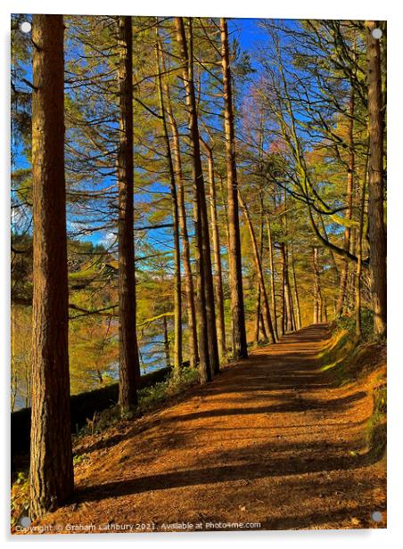 Langsett Reservoir Forest Path, Peak District Acrylic by Graham Lathbury