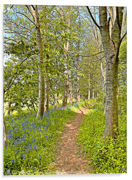 Bluebell Path Acrylic by Graham Lathbury