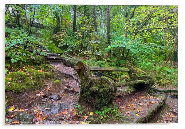 Moss Covered bench Acrylic by Graham Lathbury